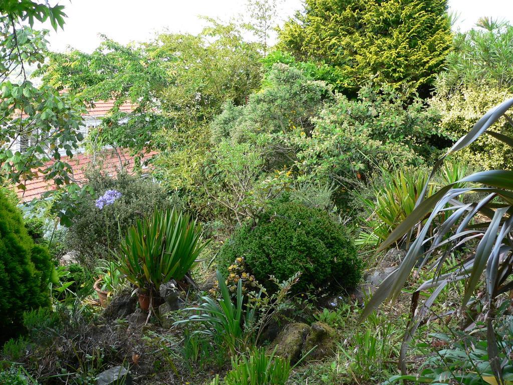 Mount Hobson Apartments Auckland Esterno foto