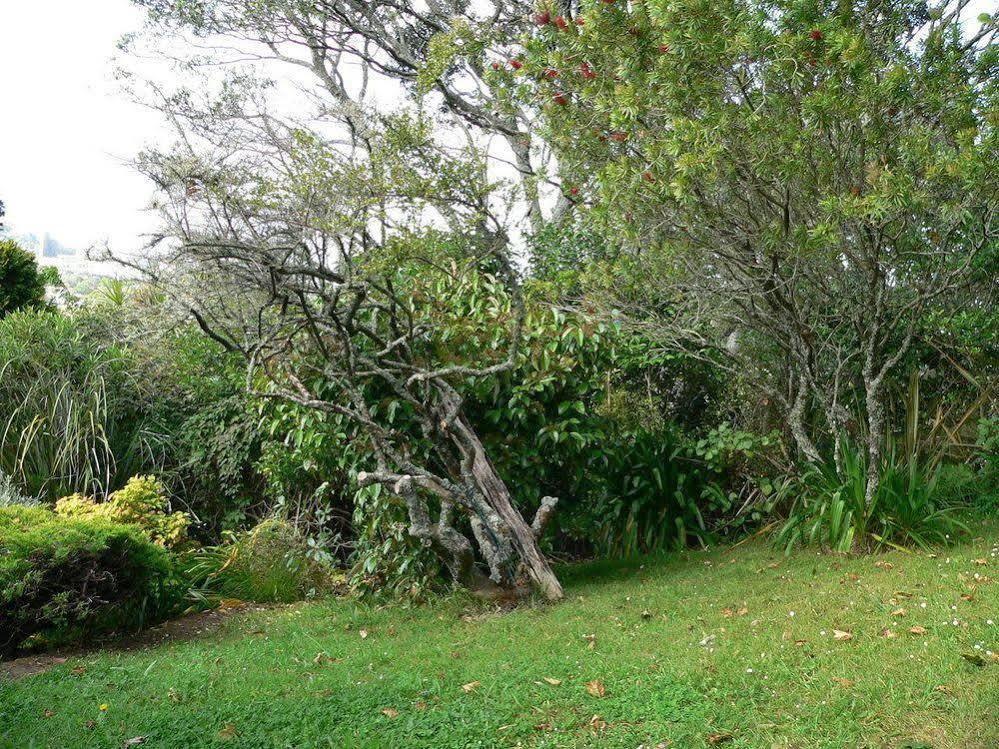 Mount Hobson Apartments Auckland Esterno foto