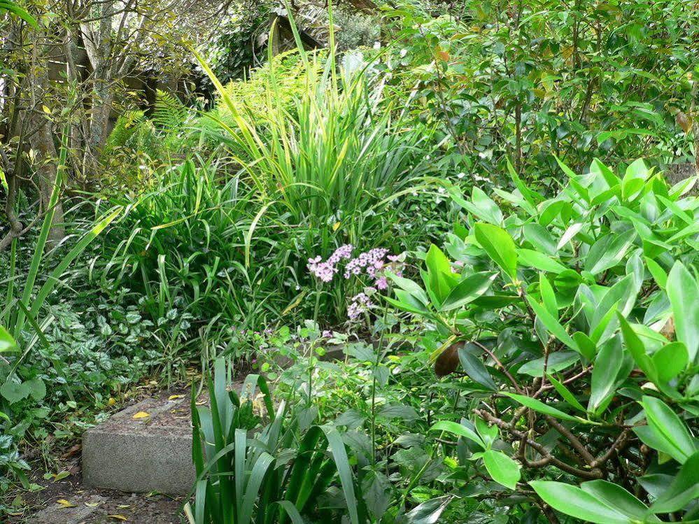 Mount Hobson Apartments Auckland Esterno foto